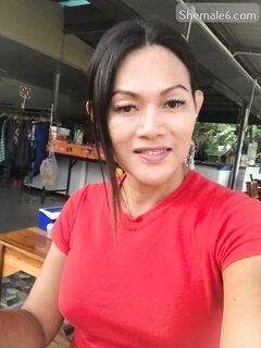 Ts Escort From Thailand 2