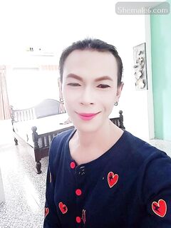 Ts Escort From Thailand 14